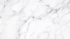 background.webp