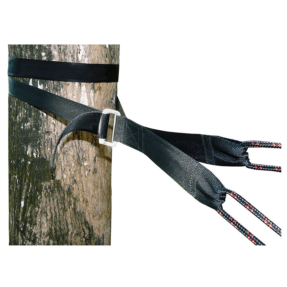 Thumbnail: Deluxe Cinching Tree Straps