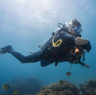 Pufferfish Conservation Program