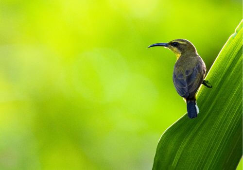 AirBNB photography in Guanacaste Costa Rica