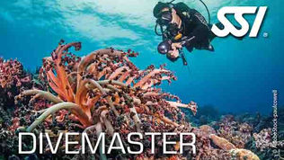 SSI Divemaster certification card