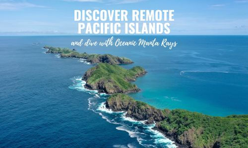Discover pacific islands as a divemaster in costa rica