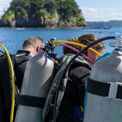 Divemaster Internship Costa Rica Rich Coast Diving