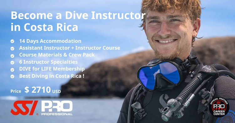 Diver entering the water