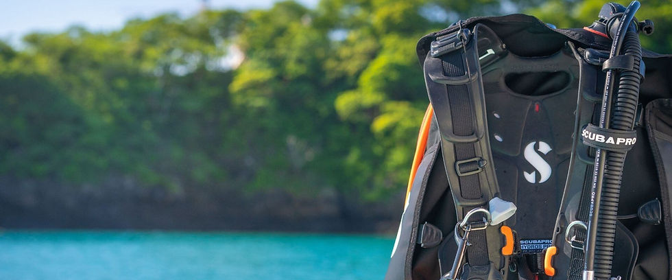 Shop Scuba dive and snorkel gear.jpg