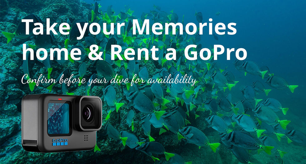 Rent a GoPro in Costa Rica