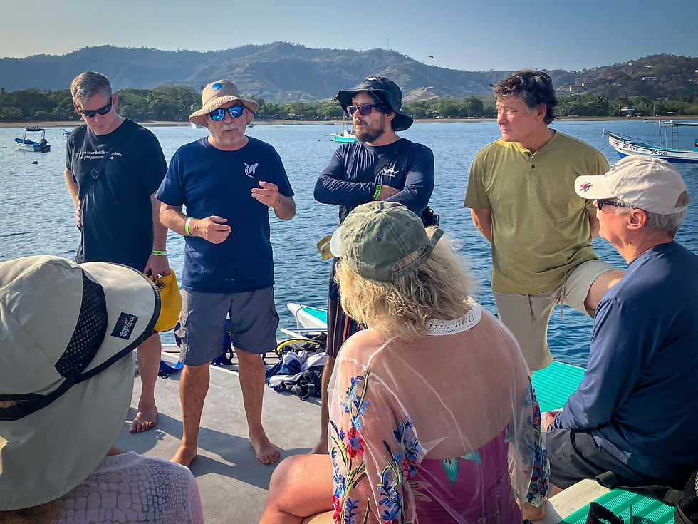 Marine conservation expeditions in costa rica