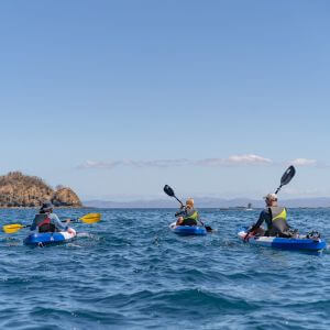 Kayaking in the Gulf of Papagayo Costa Rica