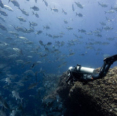 Specialty Instructor Course in Costa Rica