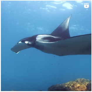 "Beginner scuba divers training in Costa Rica with Rich Coast Diving"