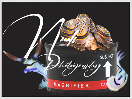 5 Top tips to improve your Nudi Photography