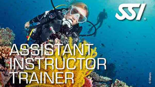 SSI Assistant Instructor Trainer certification Card