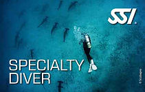 SSI Cards-26.jpg