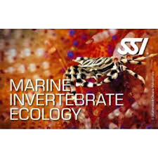 SSI Marine Invertebrate Ecology Specialty Course