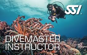 SSI Divemaster Instructor Card