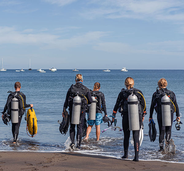 PADi Rescue Diver Course Costa Rica