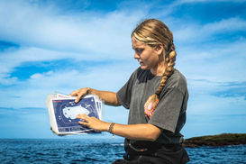 Dive guide Costa Rica