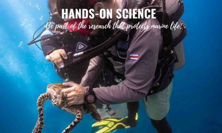 Hands on marine science in costa rica with sea turtles