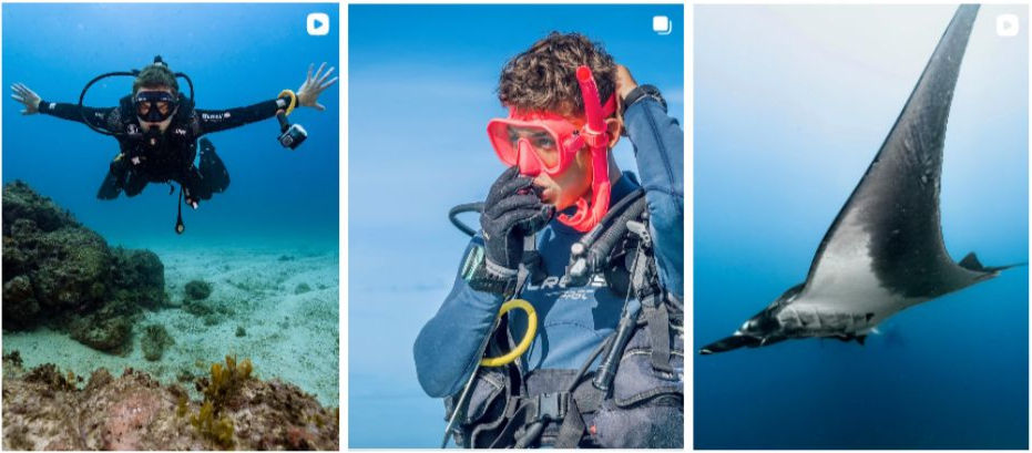 Rich coast diving instagram feed
