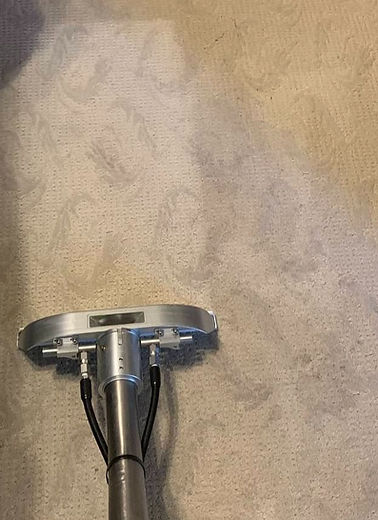 carpet protector in louisville, ky