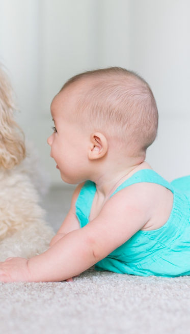 Carpet Cleaning Louisville, KY