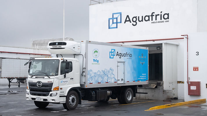 UNIDAD CARGA HIELO.jpg
