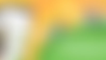 How mobile travel apps help in increasing booking and revenue?