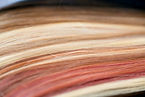 colors of extensions