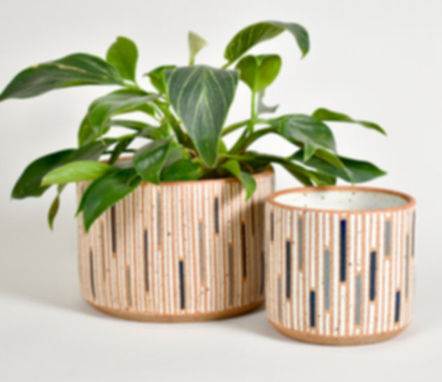 Urban Bamboo Planters