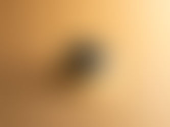 クリスマスケーキ撮影プラン｜期間限定撮影の考え方― 「12月に入ってから」では、もう遅い理由 ―