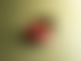 クリスマスケーキ撮影でいちばん大切なこと― 「華やかさ」と「温度管理」はセットで考える ―