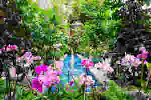 Fountain at the United States Botanical Gardens