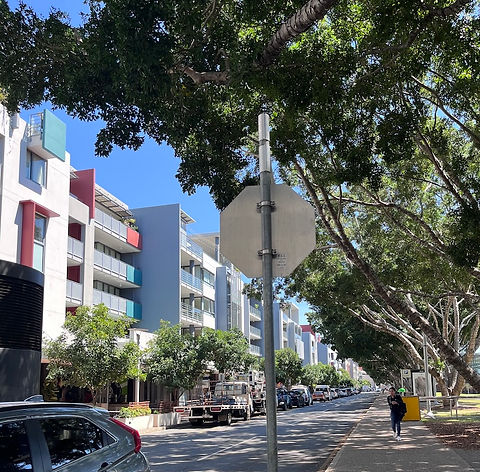 copy Good urban design street trees Brisbane South Bank Parklands residential urban greeni