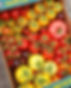 20230418_122107_edited.jpg