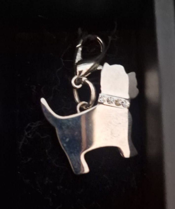 Miniature : Médaille/ porte clé