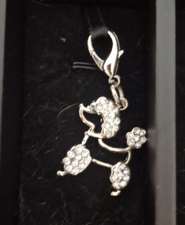 Miniature : Médaille/ porte clé
