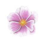 Untitled - 14 September 2025 14.30.51.png