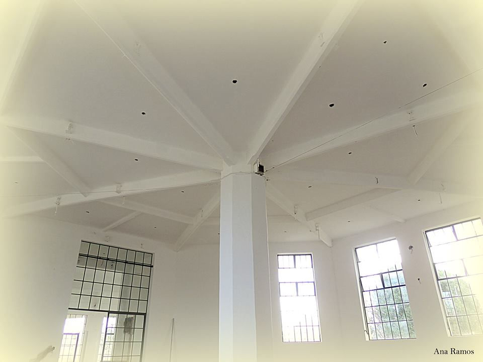 matadero municipal5