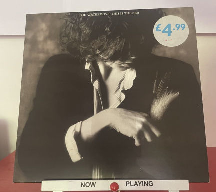 The Waterboys - This Is The Sea (LP)