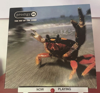 Prodigy - The Fat Of The Land (LP)