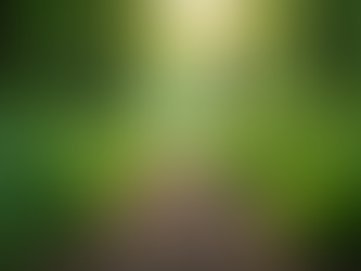 La importancia de contar con asesoría experta en materia financiera, previsional, patrimonial e inmobiliaria