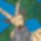 capricorn