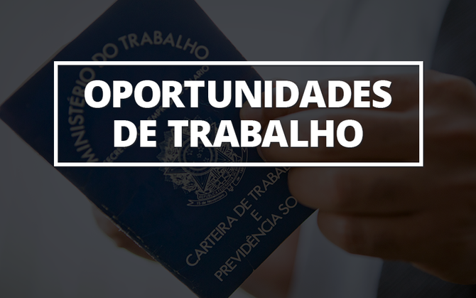O ENSINO PROFISSIONALIZANTE TEM UMA LIGAÇÃO INTRÍNSECA AO MERCADO DE TRABALHO