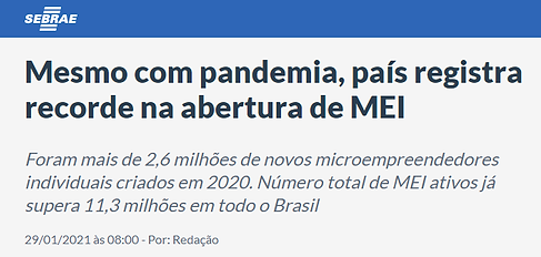 Print Sebrae_Sebrae.png