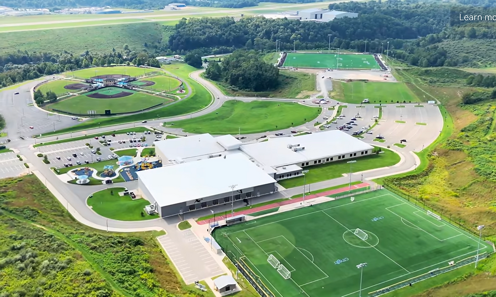 Turf 6