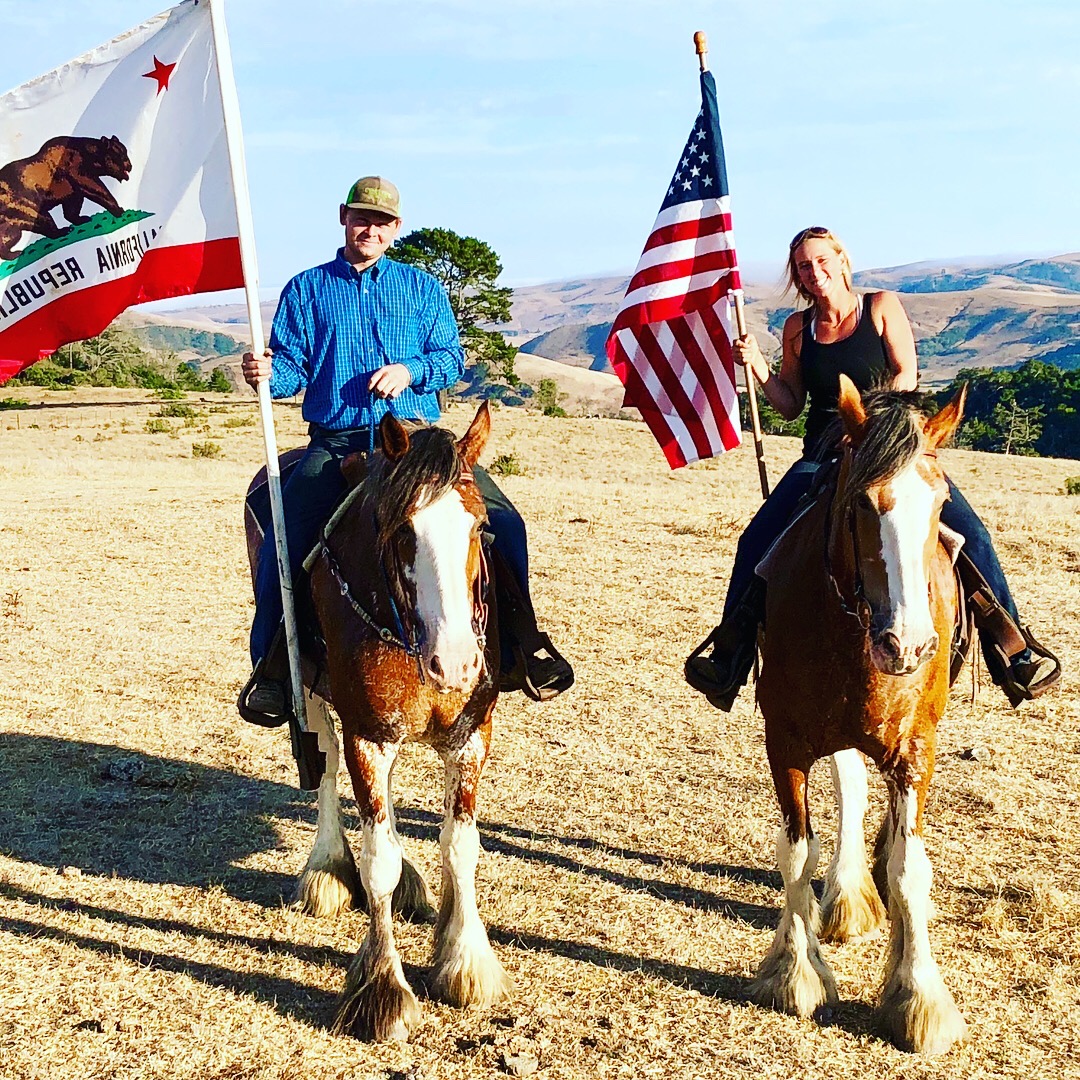 About Us | Covell Ranch: Clydesdale Horses