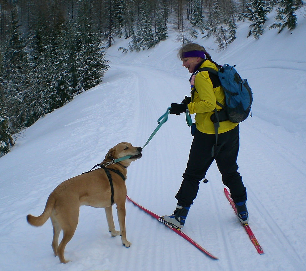 Diana in 2007 with Murungu still in training and Linder Ridge as a shared-use snowmobile trail