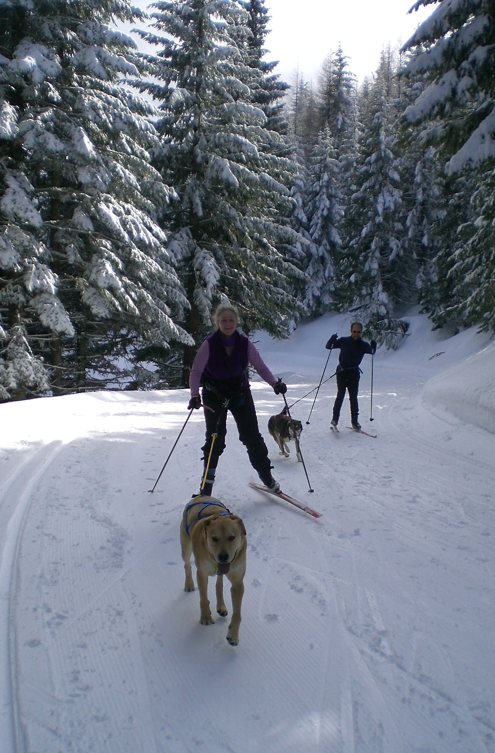 March 2008 - Diana & Murungu at Skijor Demo Day