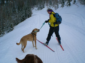 Skijoring on Mount Spokane by Holly Weiler