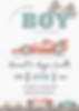 Race Car Baby Shower Invite